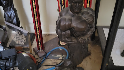 Milesfitness495