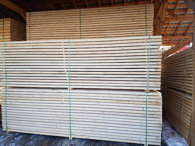 Башев 09 ЕООД - Железария