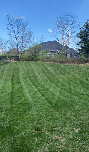 Superb Maintenance - Visual