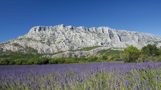 Fédération de Campings Sud de France PACA Provence Alpes Cote d'Azur Logo