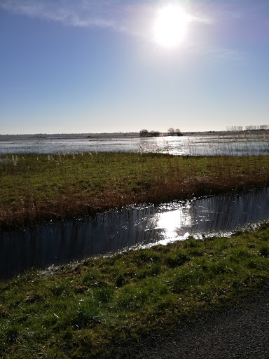 Photo de Saint-Hilaire-Petitville