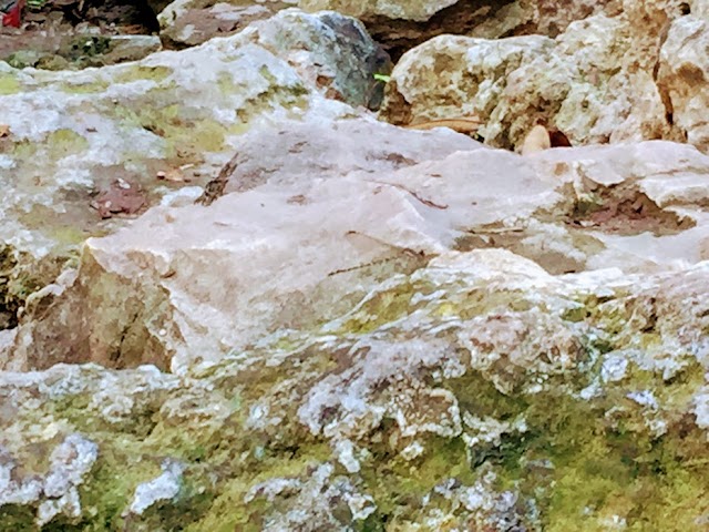 X'batun