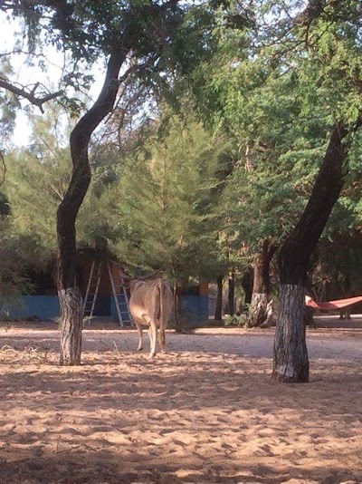 Photos of Jinack Island
