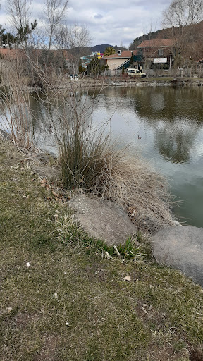 Saint paulien restaurant de L’etang - Thumbnail