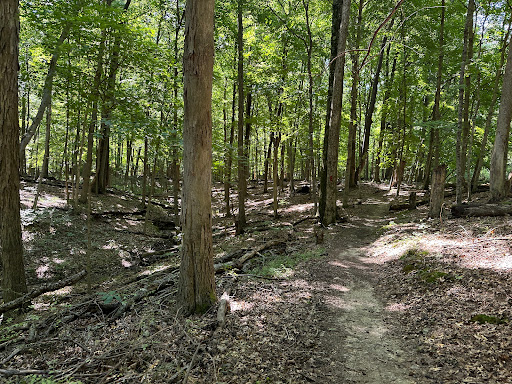 East Fork South Trailhead