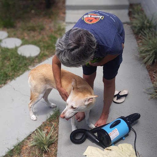 Jurassic Bark Pet Care, LLC - Thumbnail
