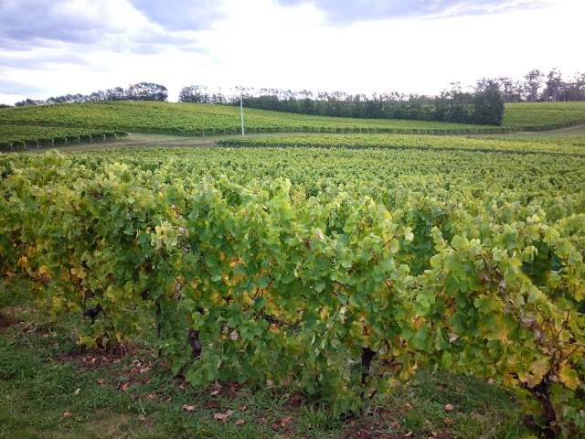 Pipers Brook Vineyard