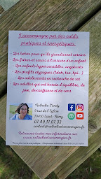 Photo n°7 de Nathalie TANDY - Thérapeute énergéticienne - Formatrice en développement perso et pro à Saint-Rémy (Centre de formation)