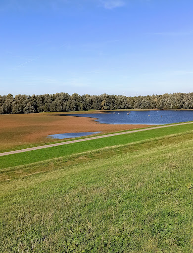 Rheinvorland im Orsoyer Rheinbogen - Thumbnail