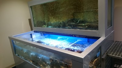 Photos of Lookal Marisqueira