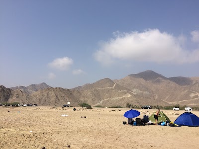 Photos of AGBS Picnic Zone Someday