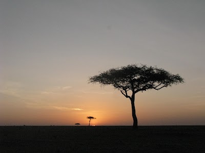 Photos of Elephant Pepper Camp by Elewana