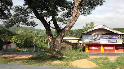 Photos of Wellawa Railway Station