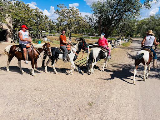 Acacia Riding Adventures - Thumbnail