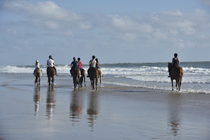 Photo n°1 de Centre équestre Le Cheval Autrement à Les Mathes (Pension pour chevaux)