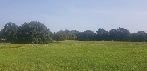 Soest - Visual