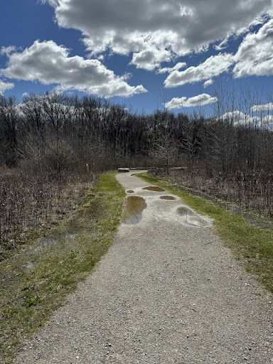 Meadow Mode - Visual