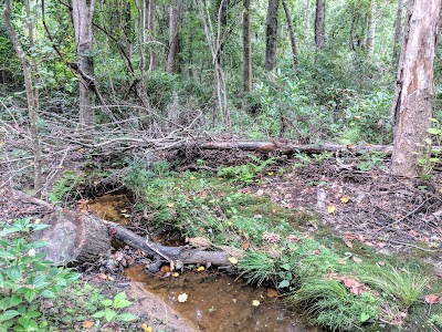 Florence Rail Trail - McLeod Entrance