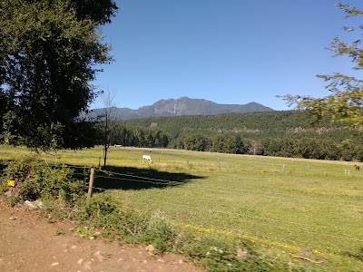 Photos of Municipalidad de Alto Biobio