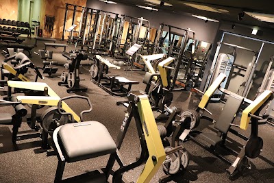 フィットネス＆スパ ココカラ本厚木