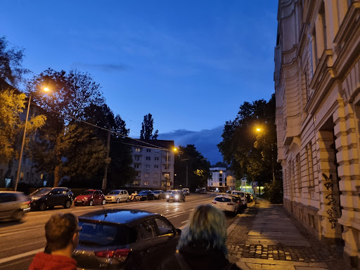 Papes Palast - Thumbnail