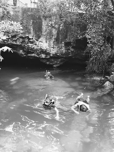 Photos of Cenote Cristalino