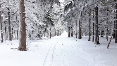 Photos of Bungalovy-Pustevny