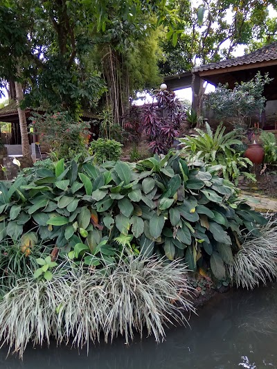Photos of Cafe Kali Sari