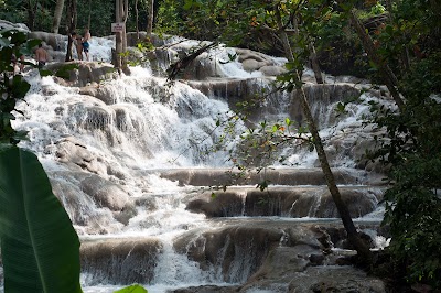Photos of Advenique