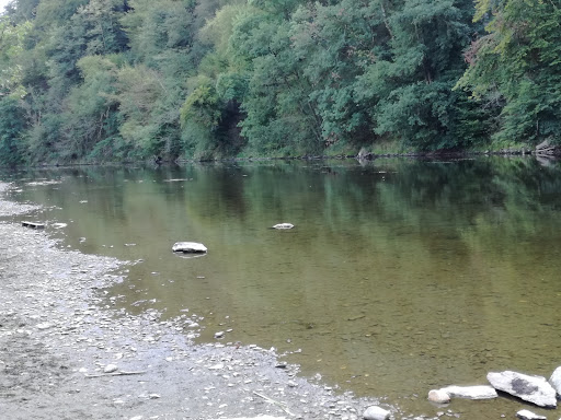 Camping Bohan - Visual