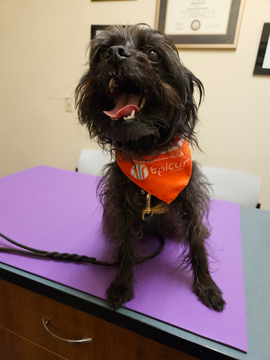 Animal Eye Clinic-Pittsburgh - Thumbnail