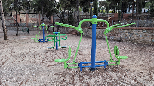 Gimnasio callejero Gallery - Spain