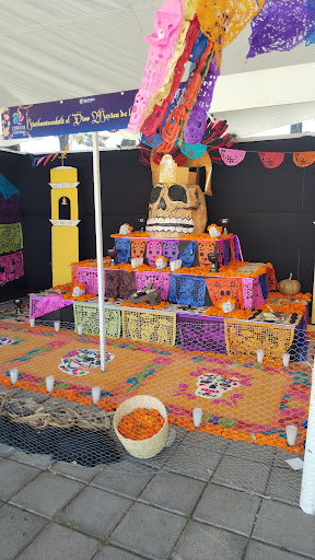 Pumpkin zone - Visual