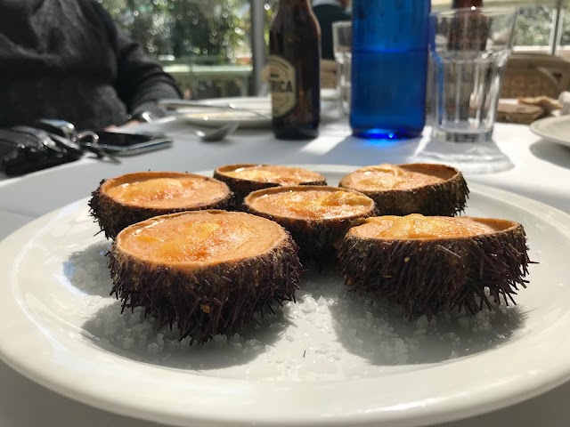 Restaurante El Invernadero De Los Peñotes