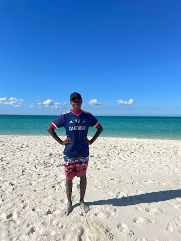 Dolphintour and snorkeling by null