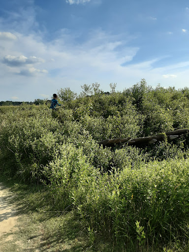 Redoubt 10 - Visual