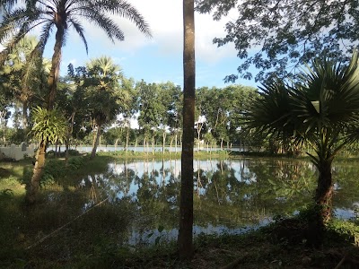 Photos of Project Sun Shine By Shuvo