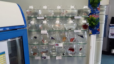 Photos of FISH WORLD AND PET SHOP, LLC