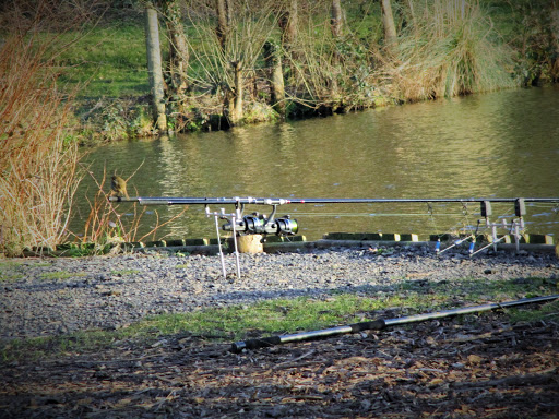 STAGG BAITS