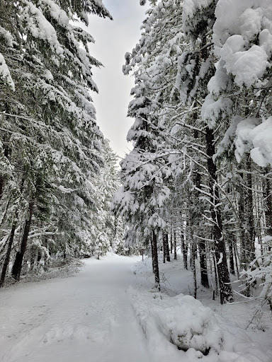 Threehorn Campground - Visual