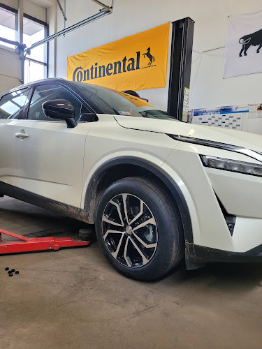 Comentarii opinii despre Szalka Gumiszerviz