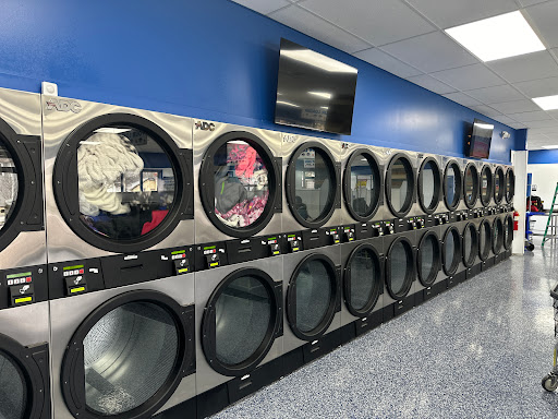Ladybug Laundry - Visual