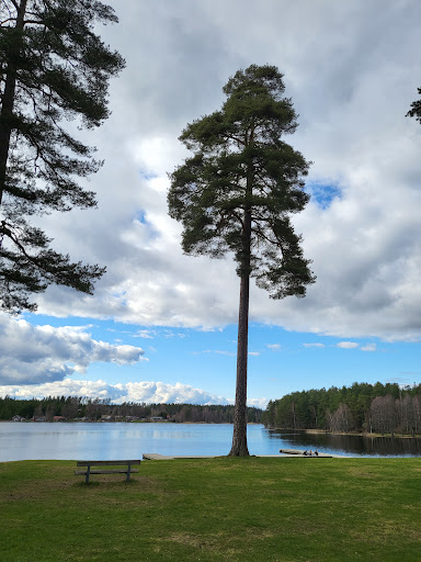 Åsabadet - Thumbnail