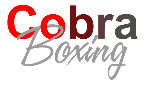 Personal Boxing Trainer - Cobra Boxing - Thumbnail