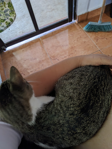 Farmacia veterinaria lago