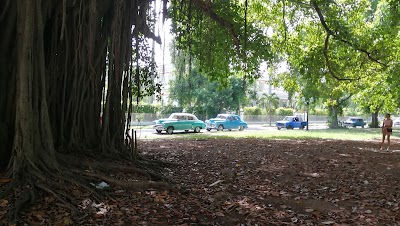 Photos of Parque Miramar