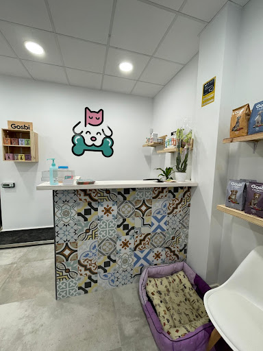 Centre Veterinari Pachuchis