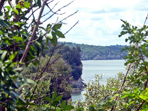 Calumet Bluff Trailhead - Thumbnail
