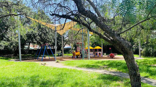 Carrington Street Playground