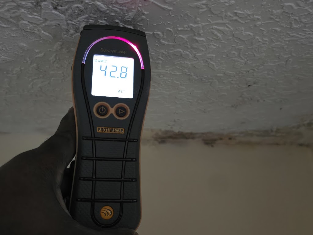 Best Price Mold And Water Restoration Services LLC photo